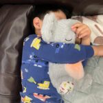 Lullabear Koala Comforter