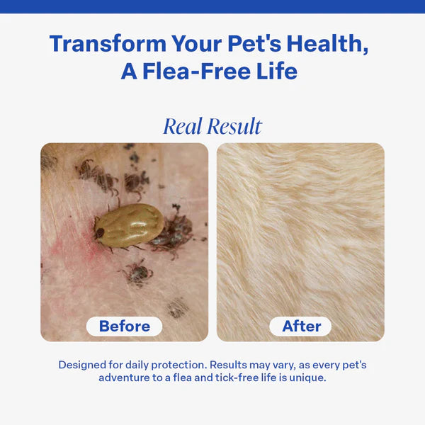 PawLife 8 Months Flea and Tick Free Collar