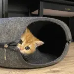 Peekaboo Cat Caves