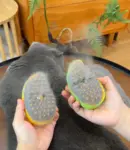 Pet Steam Brush