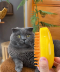 Pet Steam Brush