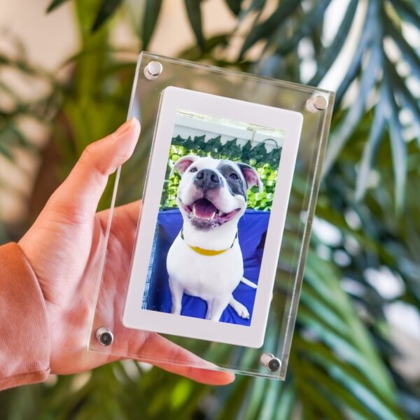 PetFrame - Digital Pet Memory Frame