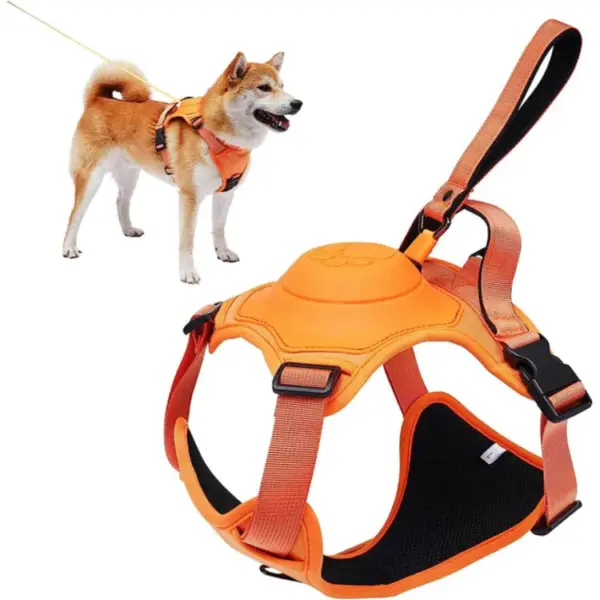 Petoxie - Dog Harness and Retractable Leash