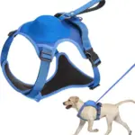 Petoxie - Dog Harness and Retractable Leash