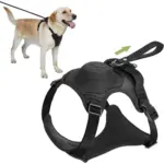 Petoxie - Dog Harness and Retractable Leash