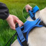 Poochbark 3 in 1 Dog Harness with Built-In Leash