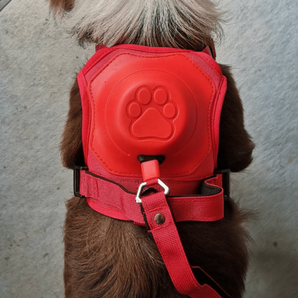 Poochbark 3 in 1 Dog Harness with Built-In Leash