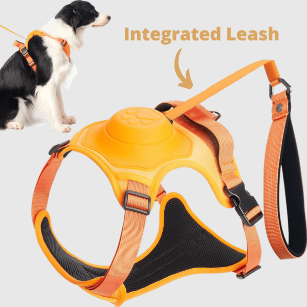 Poochbark 3 in 1 Dog Harness with Built-In Leash