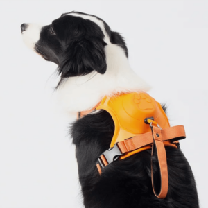 Poochbark 3 in 1 Dog Harness with Built-In Leash