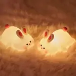 Rechargeable Silicone Rabbit Night Light with Touch Sensor for Children's Bedroom