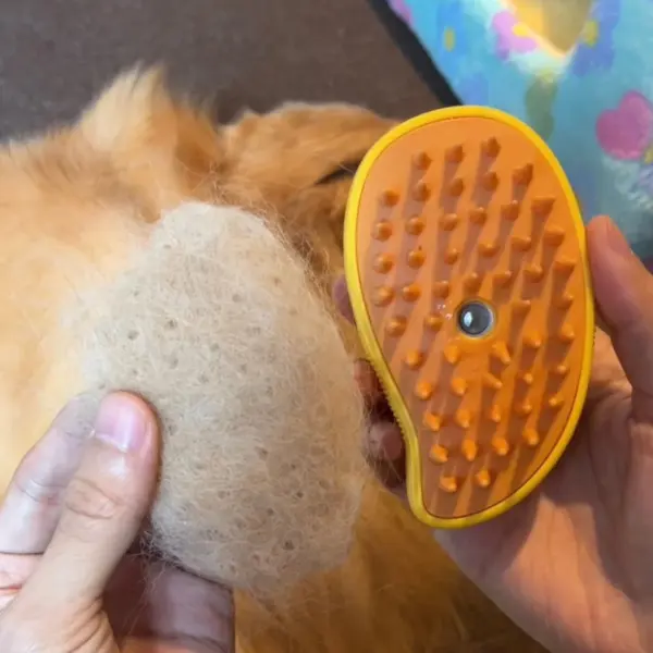 Rechargeable Steam Pet Brush