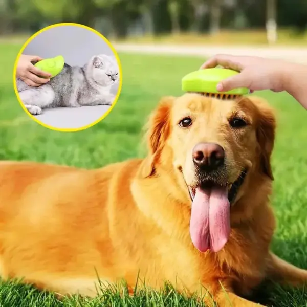 Rechargeable Steam Pet Brush