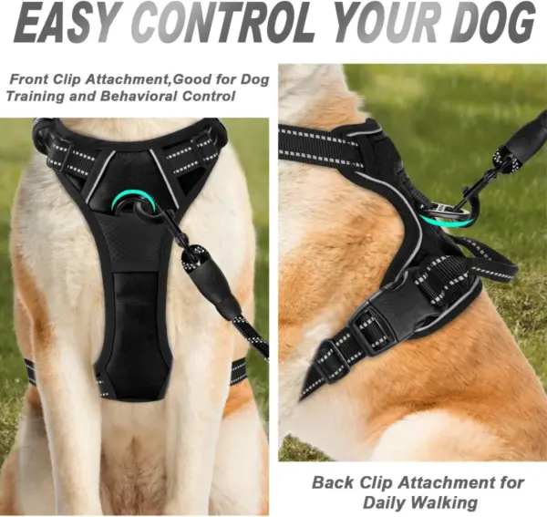 SecureWalk Harness