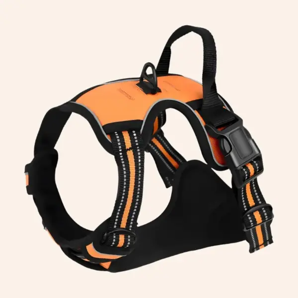 SecureWalk Harness