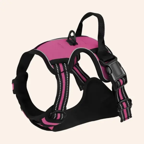 SecureWalk Harness