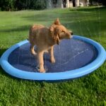 Splash Pad