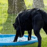 Splash Pad