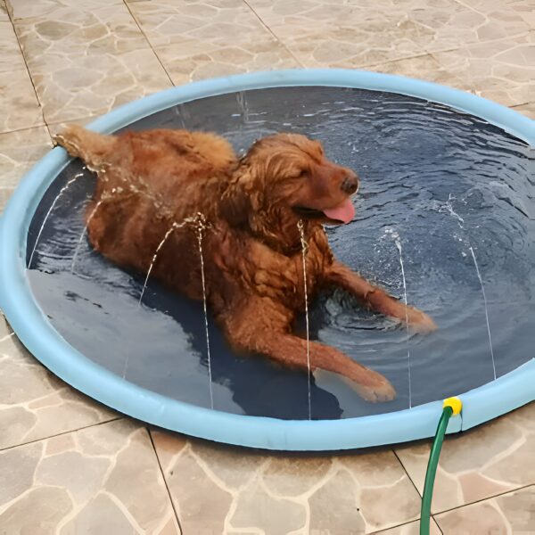 Splash Pad