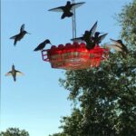 Summer Promotion 45% OFF-Hummingbird Feeders for Outdoors Hanging