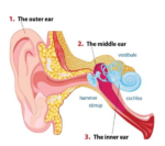 Techsilen - Instant Tinnitus Relief Nasal Inhaler