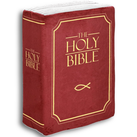 The Bible Pillow