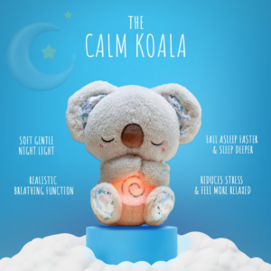 THE CALM KOALA