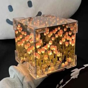 Tulip cube mirror lamp