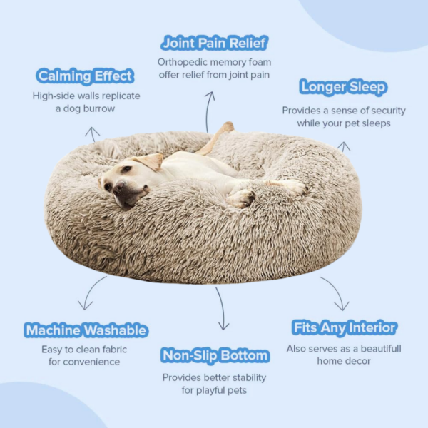 Ultimate Calming Comfort Bed