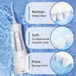 Waterpulse Tooth Cleaner