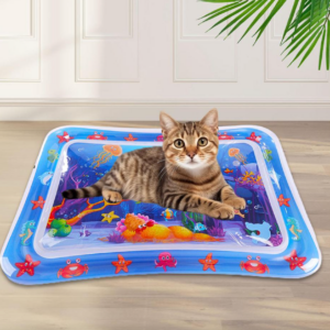 AquaPaws Play Mat