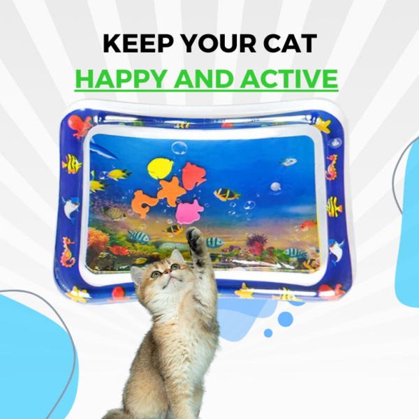 CatSplash Play Mat