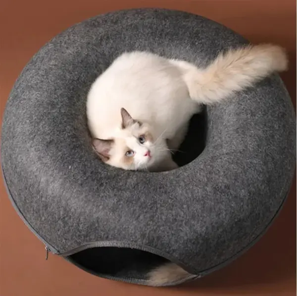 Cave Bed for Multiple Cats: The Ultimate Cozy Den