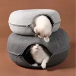 Cave Bed for Multiple Cats: The Ultimate Cozy Den