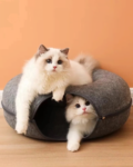 Cave Bed for Multiple Cats: The Ultimate Cozy Den