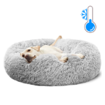 Cooling Dog Bed