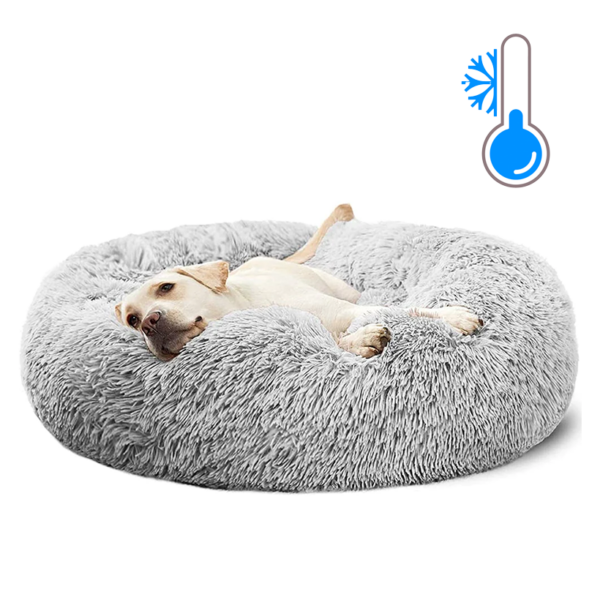 Cooling Dog Bed