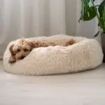 Cooling Dog Bed