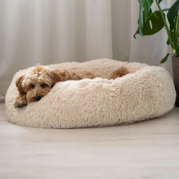 Cooling Dog Bed