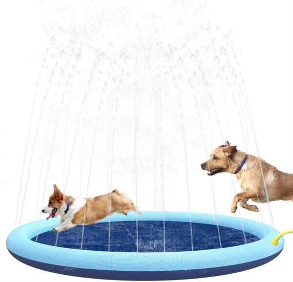 Dog Splash Pad