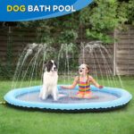 Dog Splash Pad