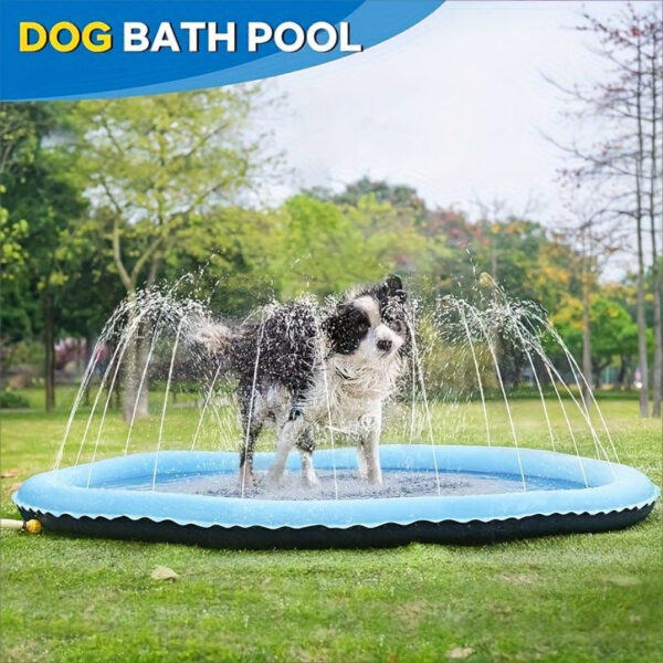 Dog Splash Pad