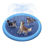 Dog Splash Pad