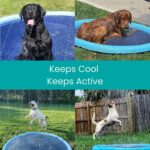 DoggySplash - Cooling, Playful, Dog Sprinkler Pad!