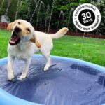 DoggySplash - Cooling, Playful, Dog Sprinkler Pad!