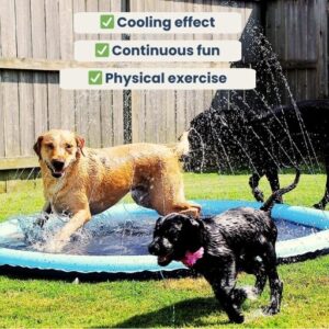 DoggySplash – Cooling, Playful, Dog Sprinkler Pad!