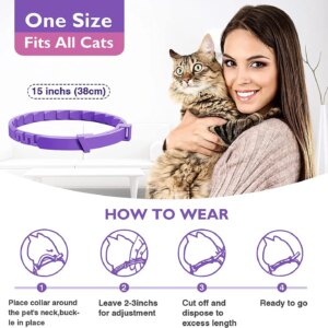 Flea Shield Collar