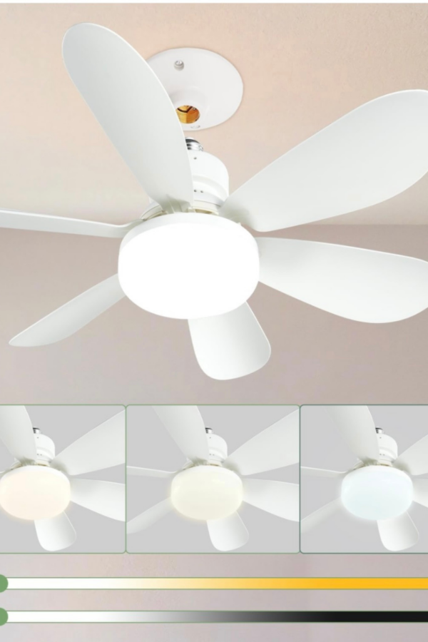 Fun Breeze Pro: Compact Socket Fan Light with Remote