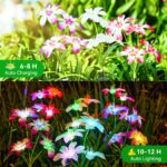 HOT SALE 70%OFF - Solar-Powered Blooming Lily Flowers Light