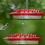 Keilini Sweety Hummingbird Feeder