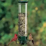 (Last Day Promotion 49% OFF) - Squirrel-Proof Bird Feeder